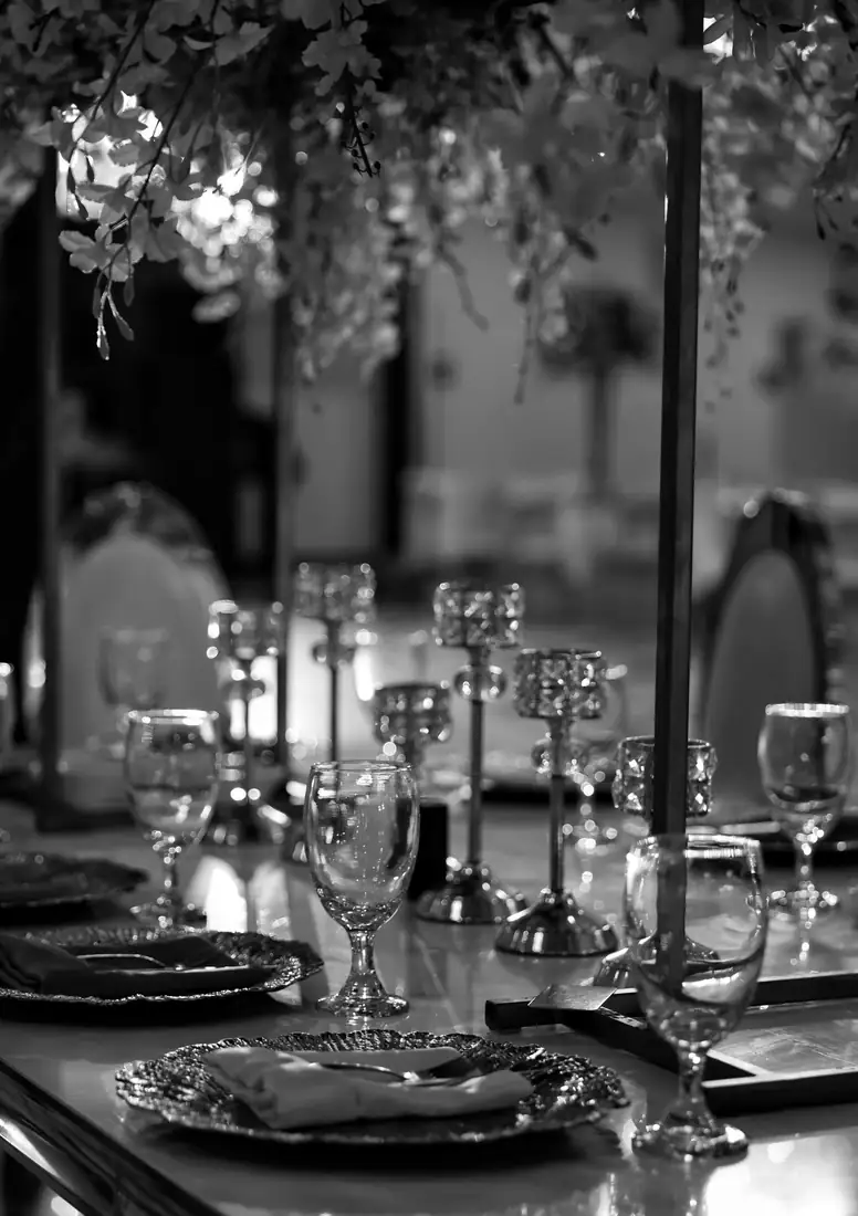 The Grand Villa — bride with veil, Rio Grande Valley wedding venue
